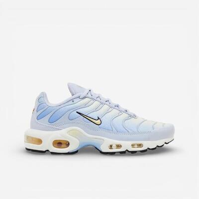 Nike air max plus daybreak (women's)