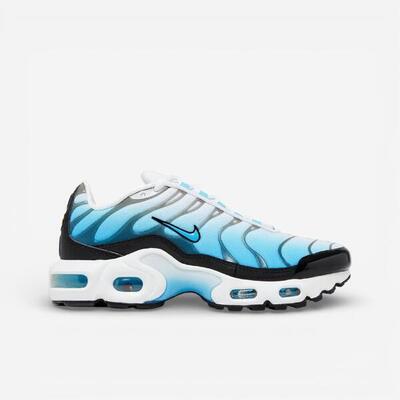 Nike air max plus ice (gs)