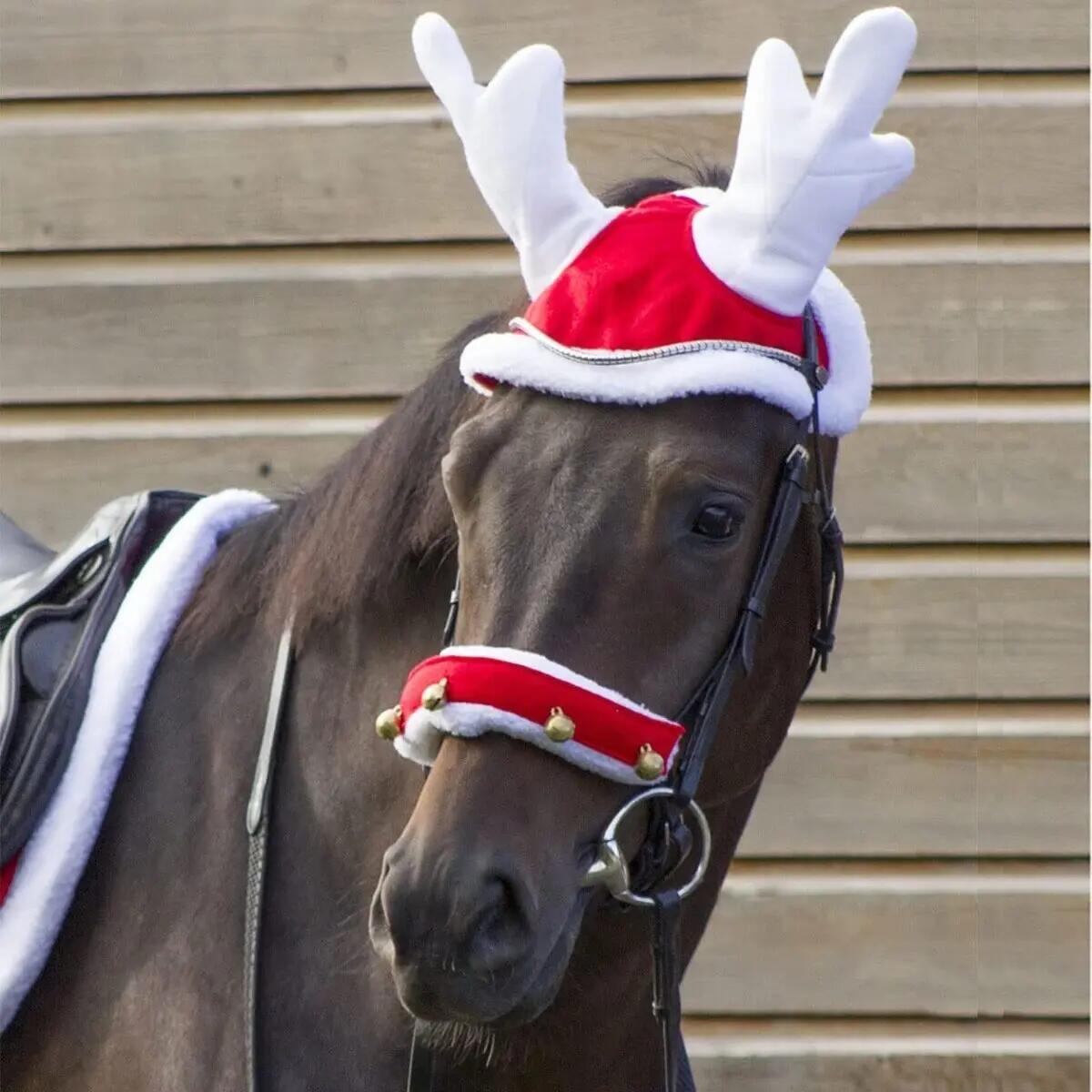 Berretto da renna - Natale QHP 2/3