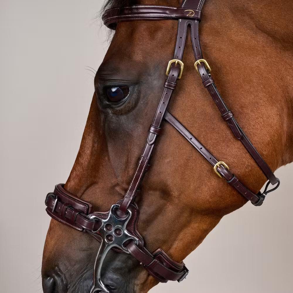 Bridon Hackamore para caballo Dy'on 3/4