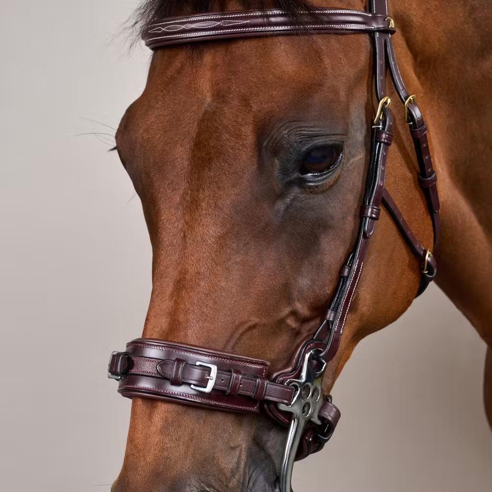 Bridon Hackamore para caballo Dy'on 2/4
