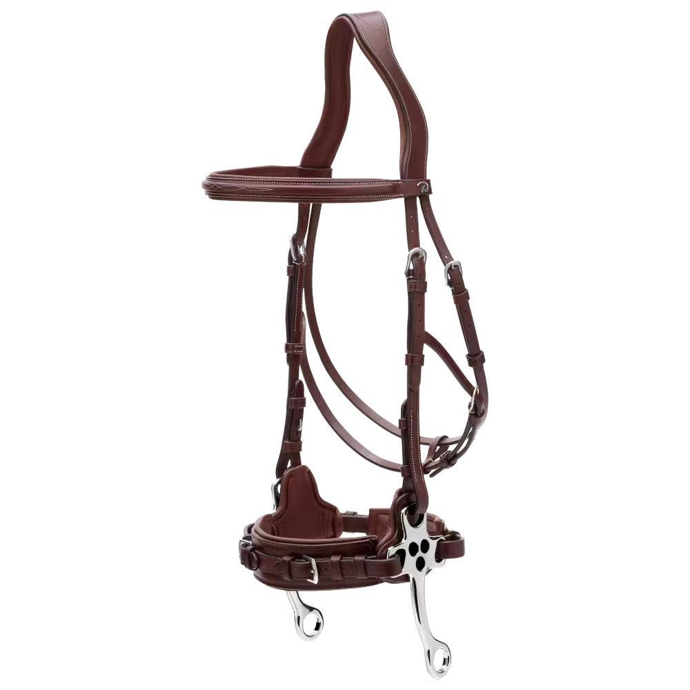 Hackamore bridle for horse Dy'on