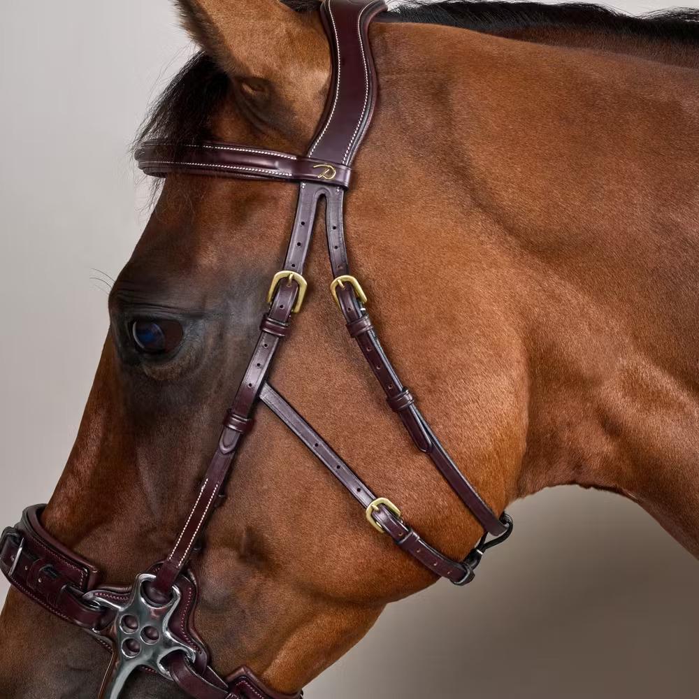Bridon Hackamore para caballo Dy'on 4/4