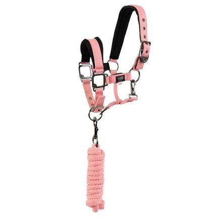 Ensemble licol et longe pour shetland BR Equitation