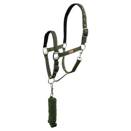 Ensemble licol et longe pour cheval avec mousqueton Premiere