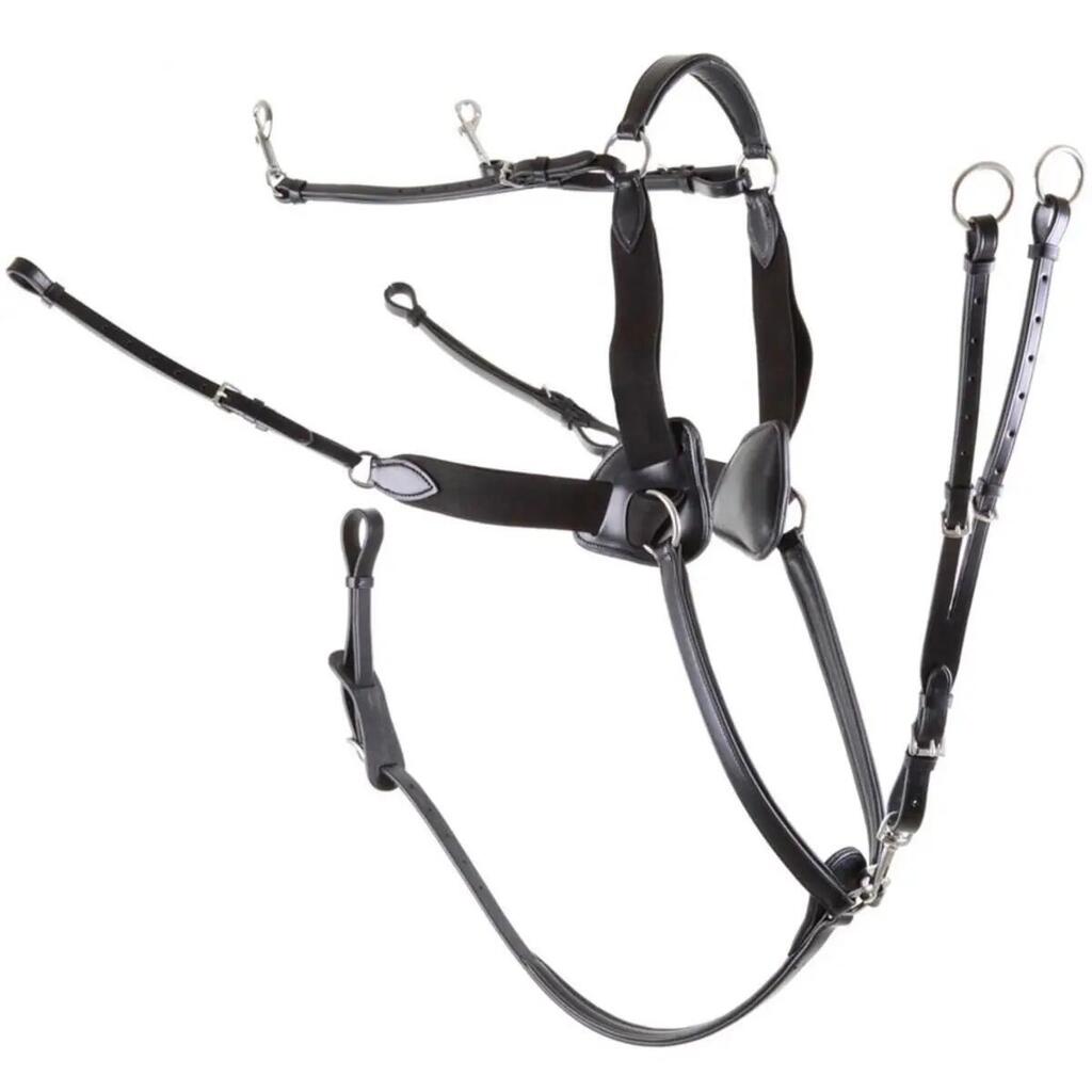5-point elastic hunting collar Premiere