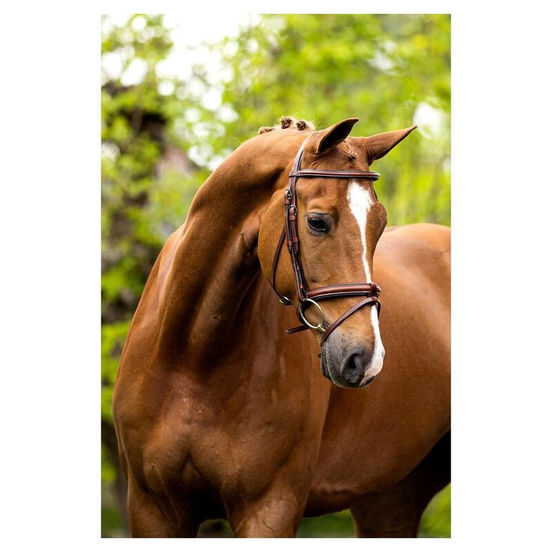 Bridon BR Equitation Kendal cu design anatomic