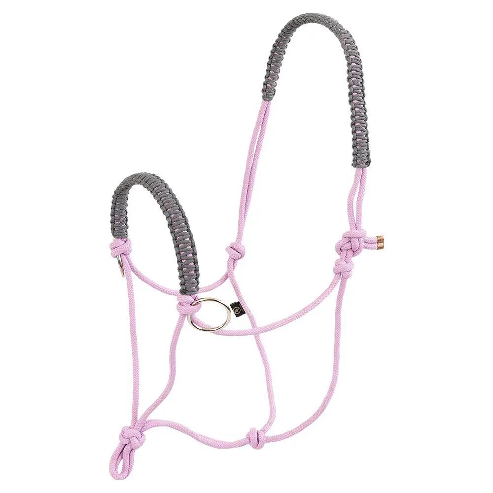 Ensemble licol pour cheval BR Equitation 2/3