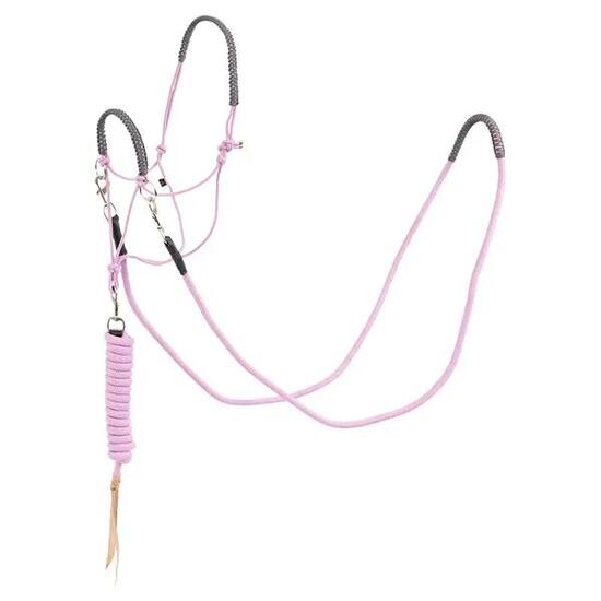 Ensemble licol pour cheval BR Equitation