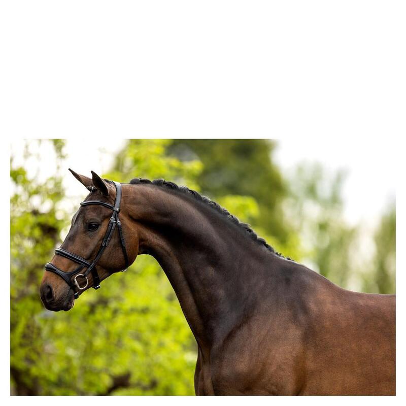 Anatómiai lovas zablák BR Equitation Bath