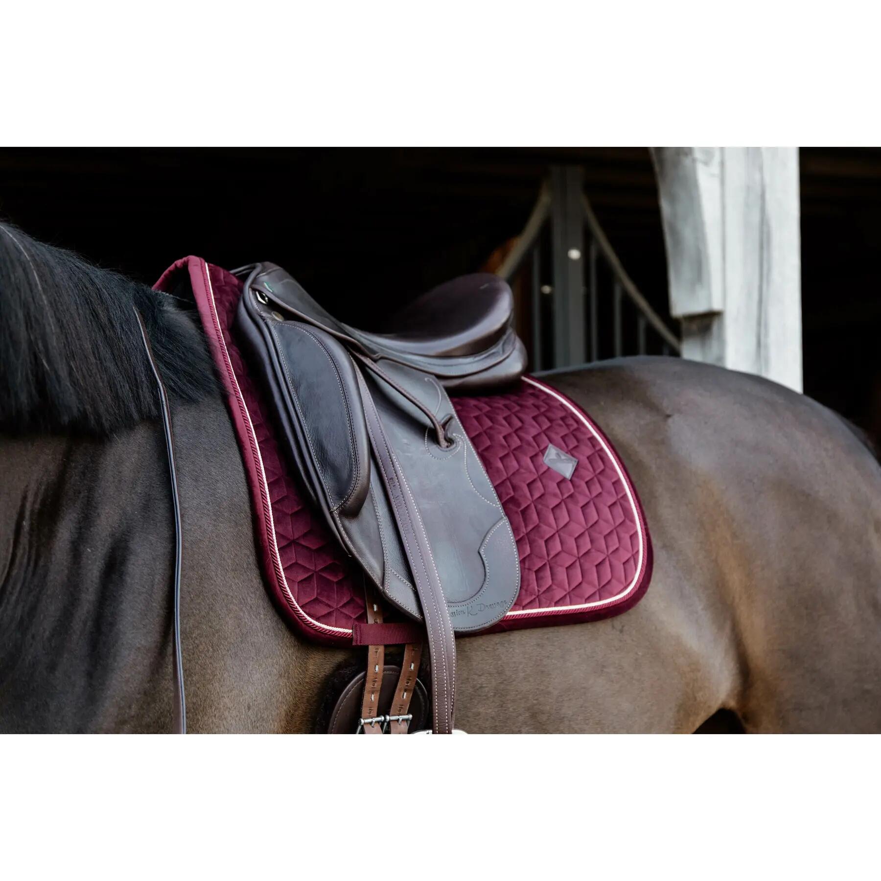 Mostrar tapetes de saltos Kentucky Velvet 2/5