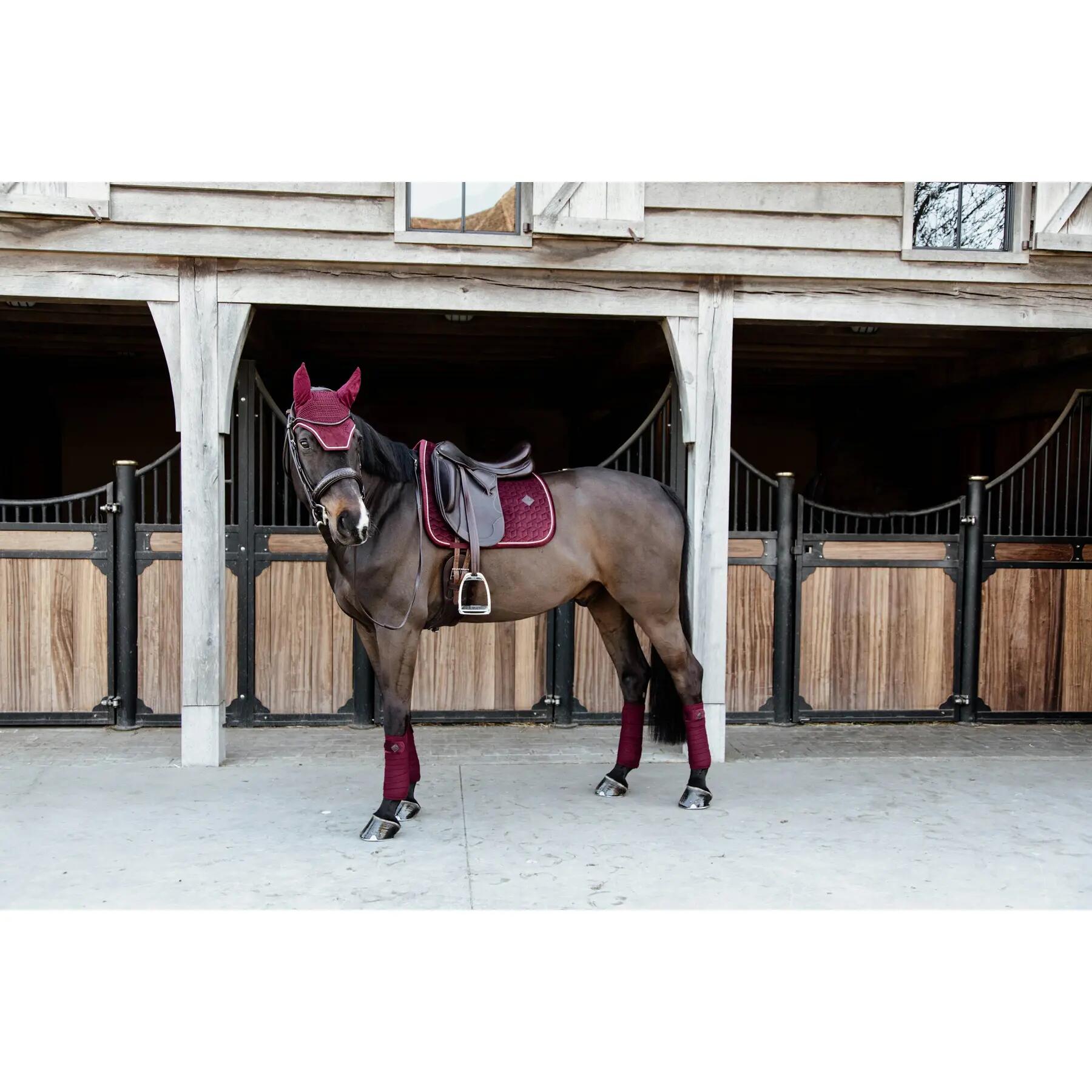 Mostrar tapetes de saltos Kentucky Velvet 5/5
