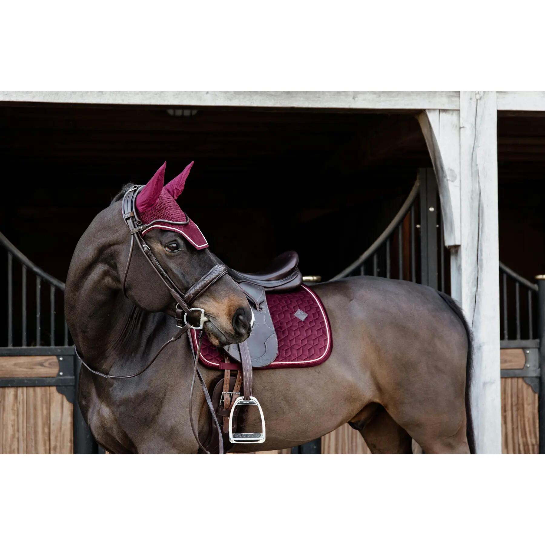 Mostrar tapetes de saltos Kentucky Velvet 4/5