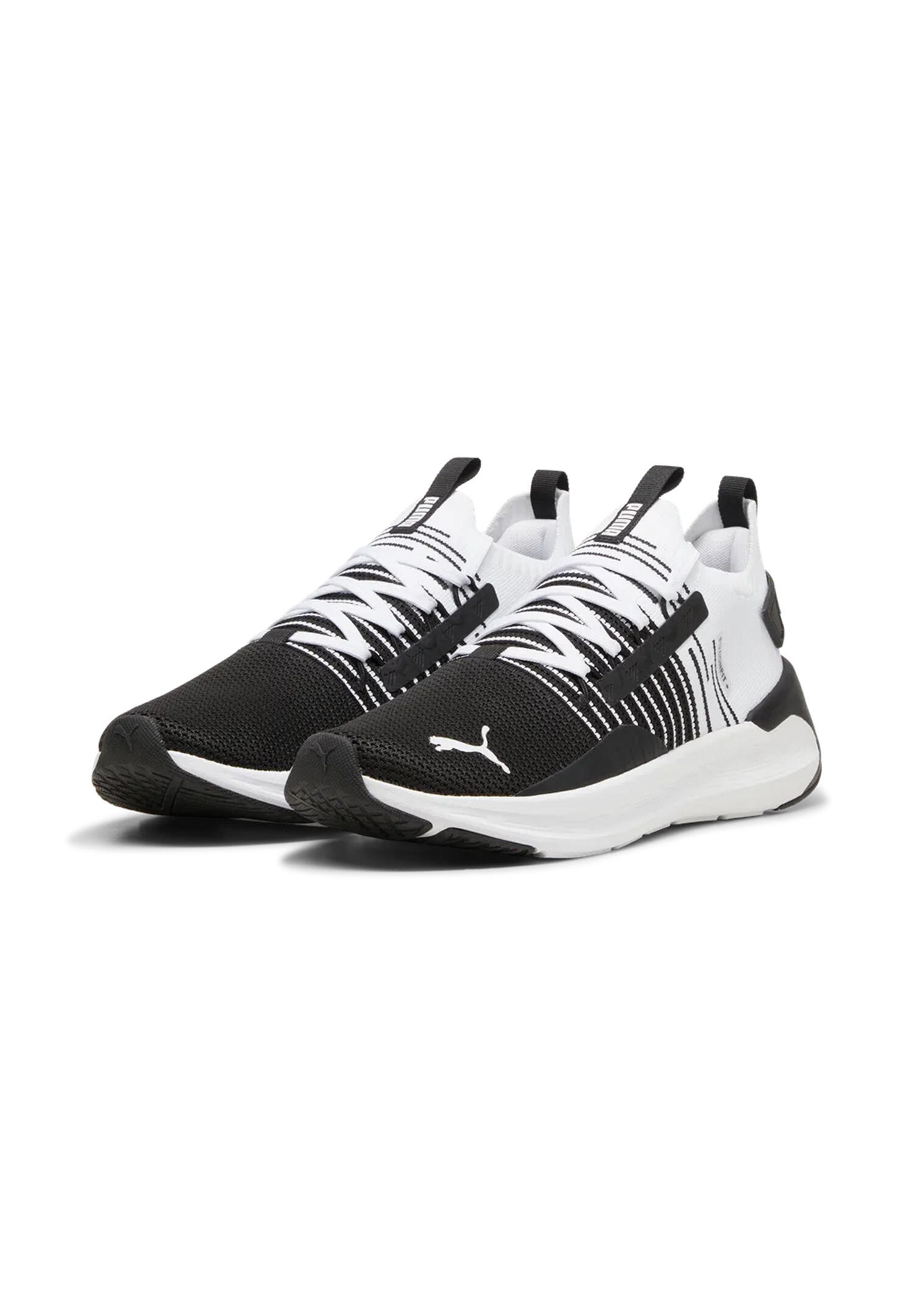 PUMA picture