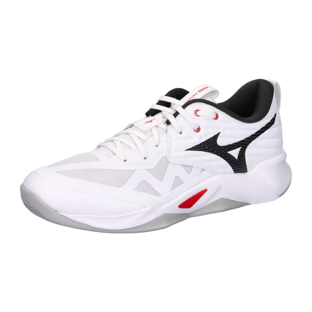 Mizuno Wave Momentum Pro Indoor Shoes