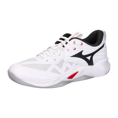 Indoor schoenen mizuno wave momentum pro