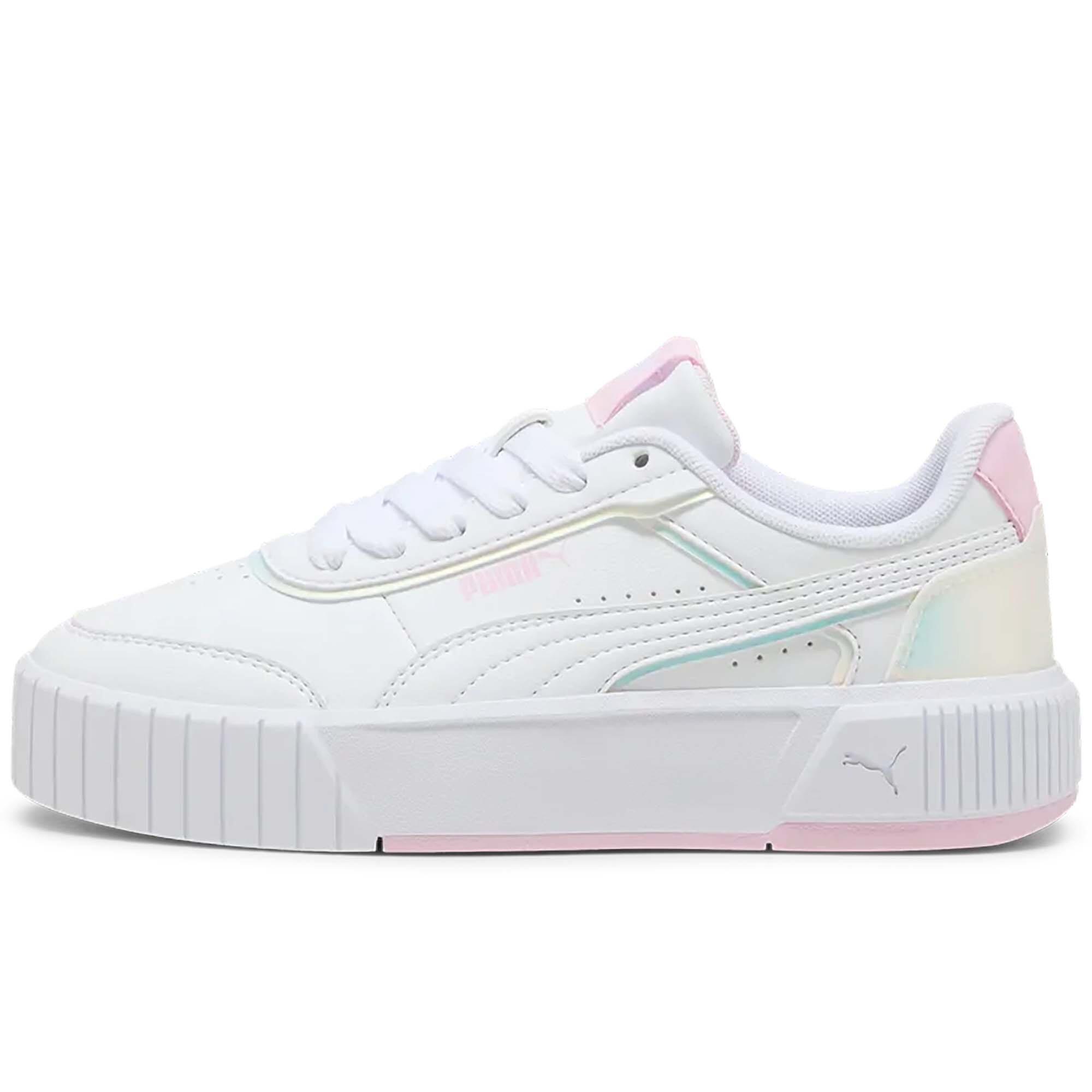 PUMA picture
