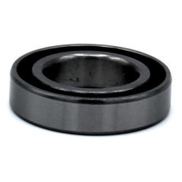 BLACK BEARING picture