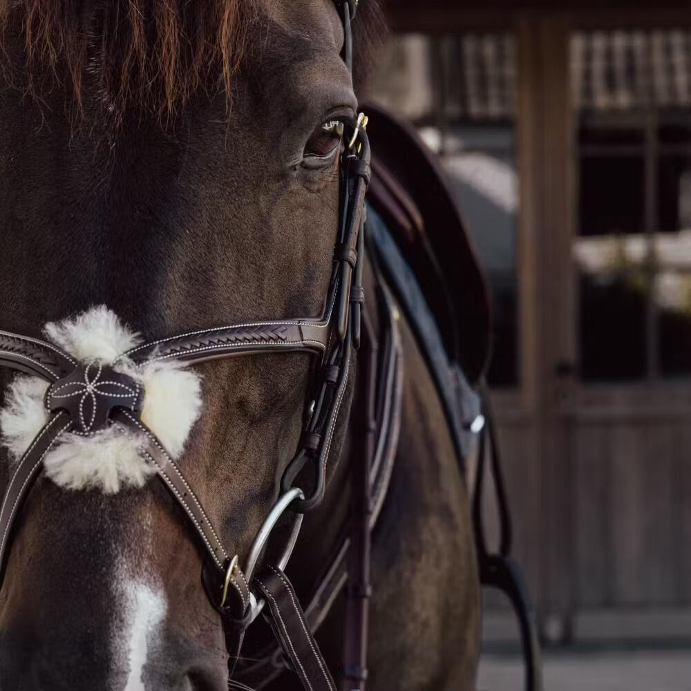 Muserolle cheval tressée en forme de 8 Dy'on 2/2