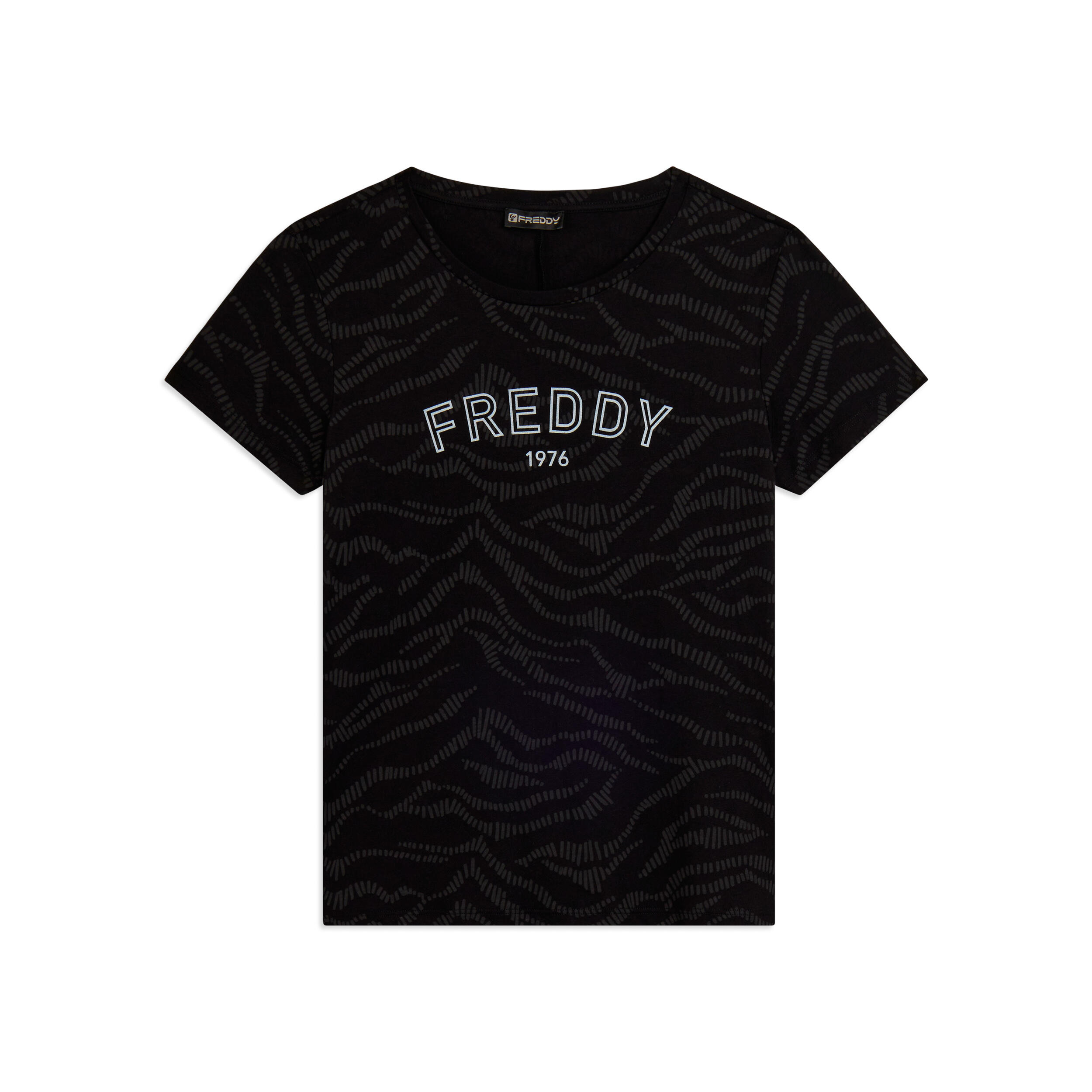 FREDDY picture