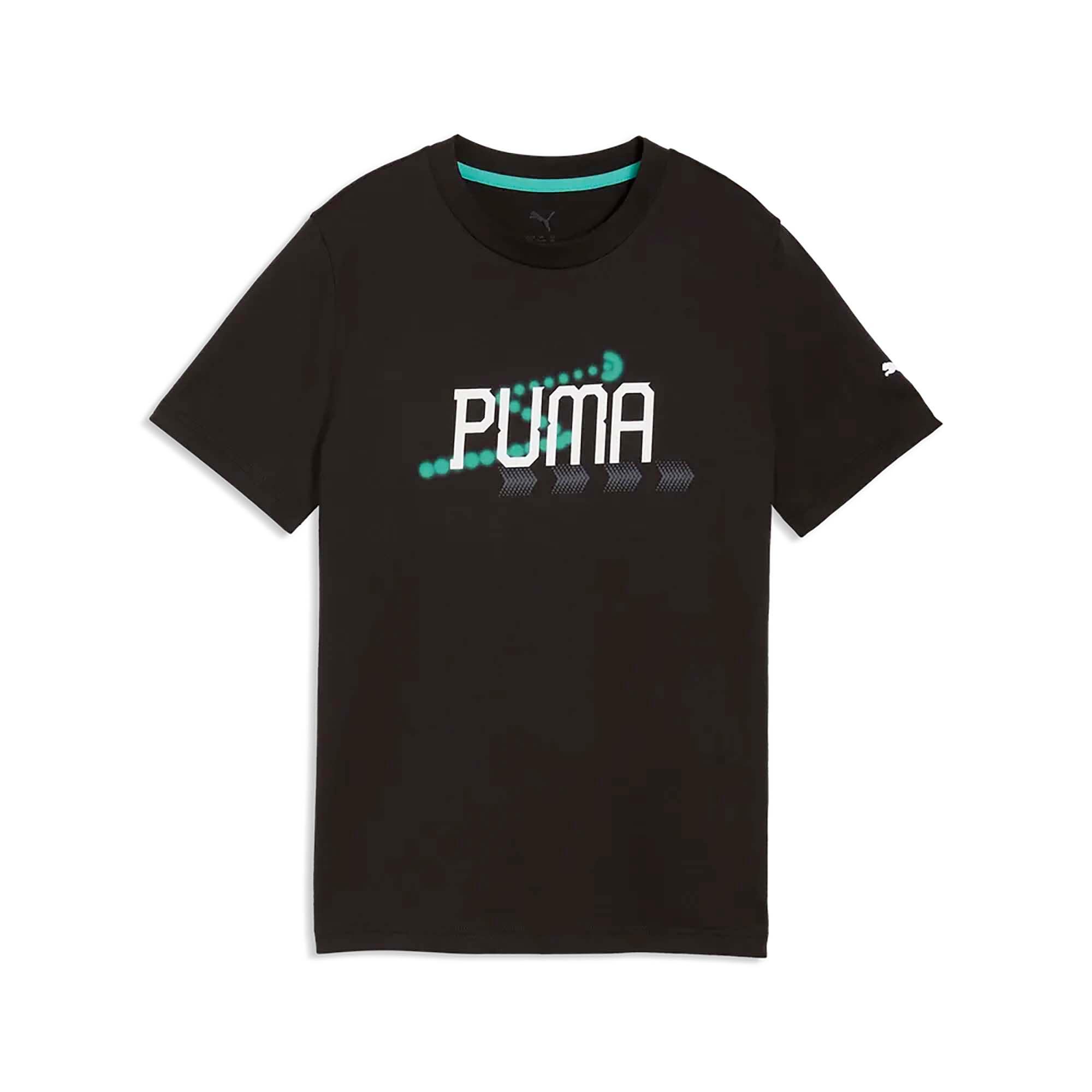 PUMA picture
