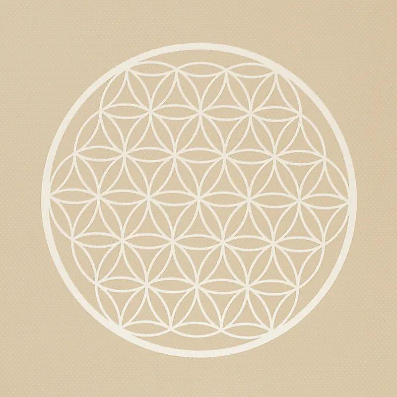 Yogi & Yogini premium yogamat van 5 mm TPE met Levensbloem-patroon. 3/4