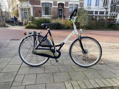 Black batavus crescendo