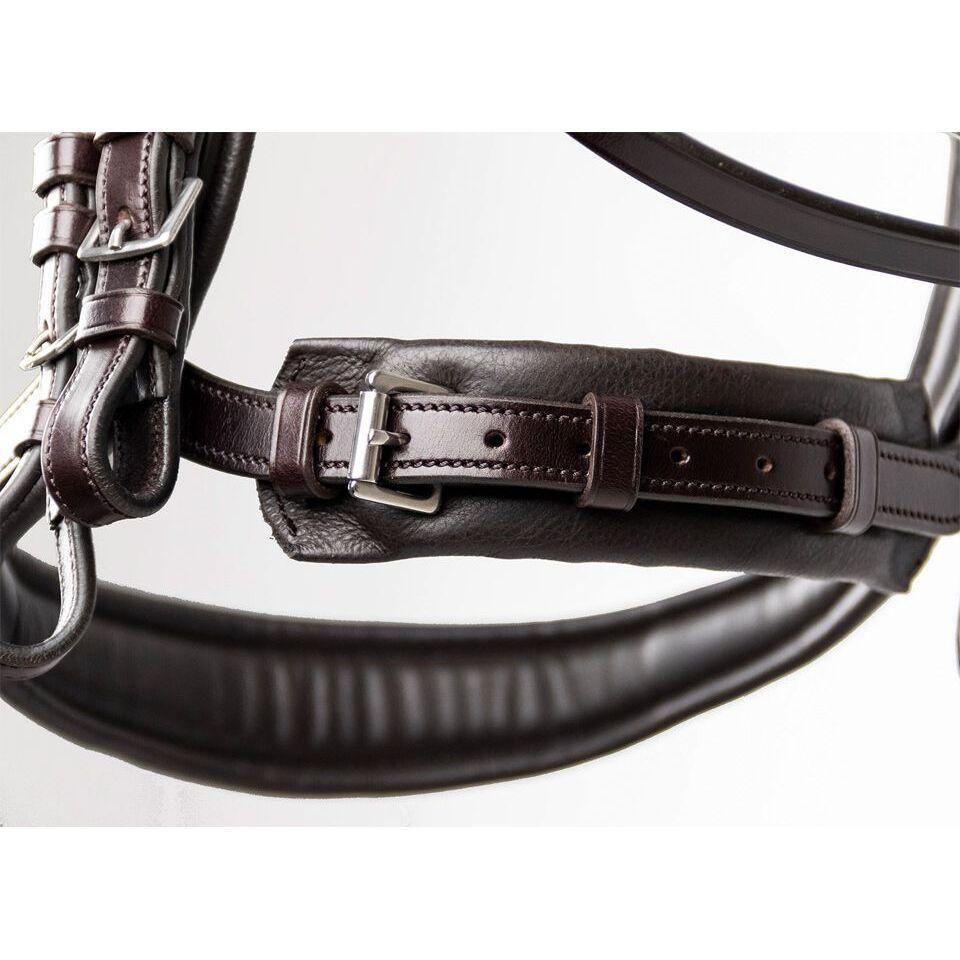 Bridon équitation anatomique Schockemöhle Sports Equitus Gamma 5/5