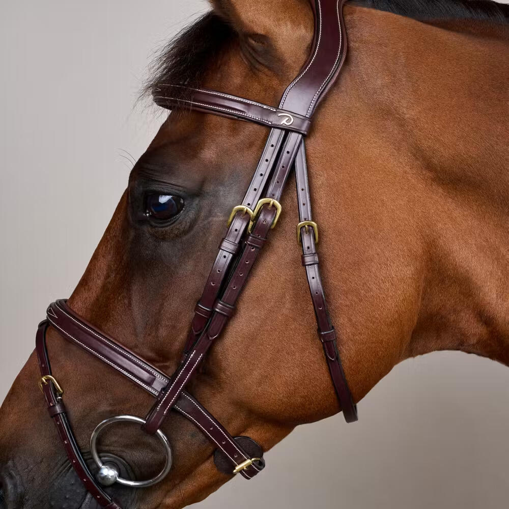 Briglia da equitazione combinata all'inglese con nasello anatomico Dy'on Flash C 3/5