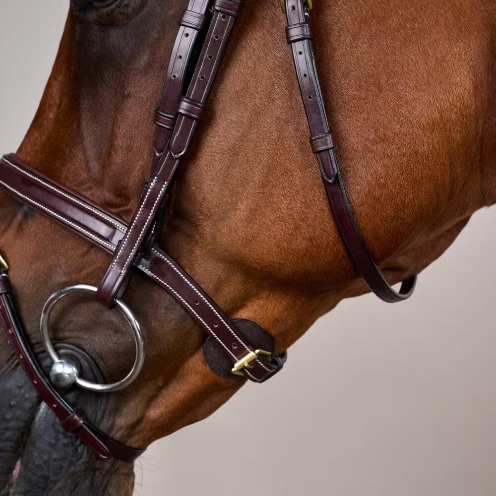 Briglia da equitazione combinata all'inglese con nasello anatomico Dy'on Flash C 2/5