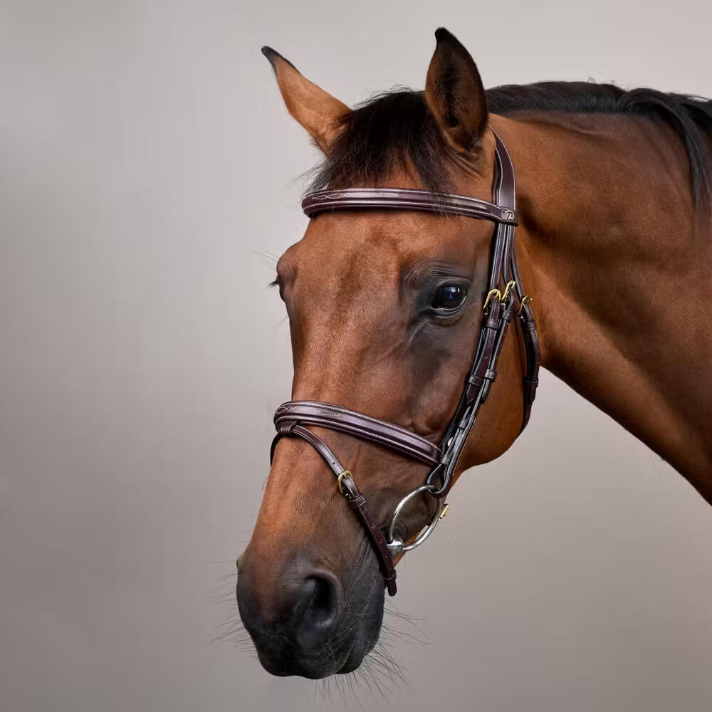 Briglia da equitazione combinata all'inglese con nasello anatomico Dy'on Flash C 5/5