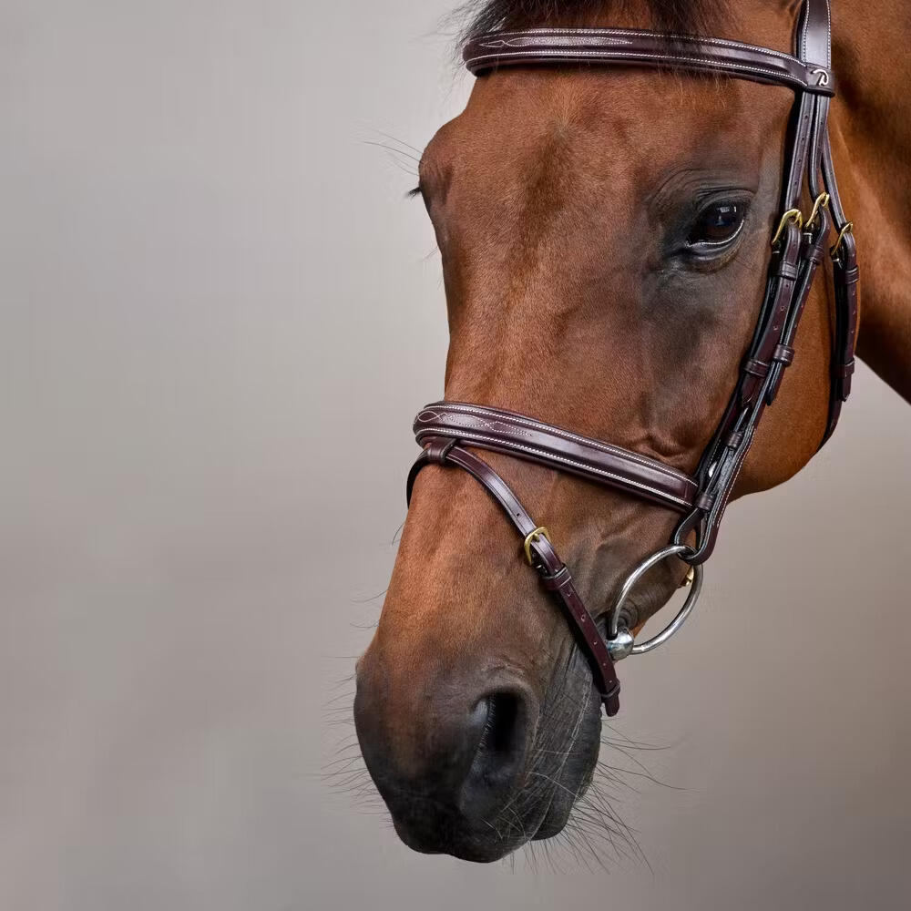Briglia da equitazione combinata all'inglese con nasello anatomico Dy'on Flash C 4/5