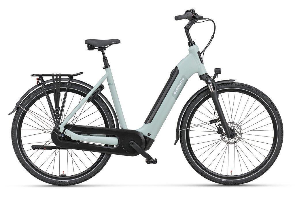 BATAVUS picture