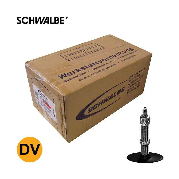 SCHWALBE picture