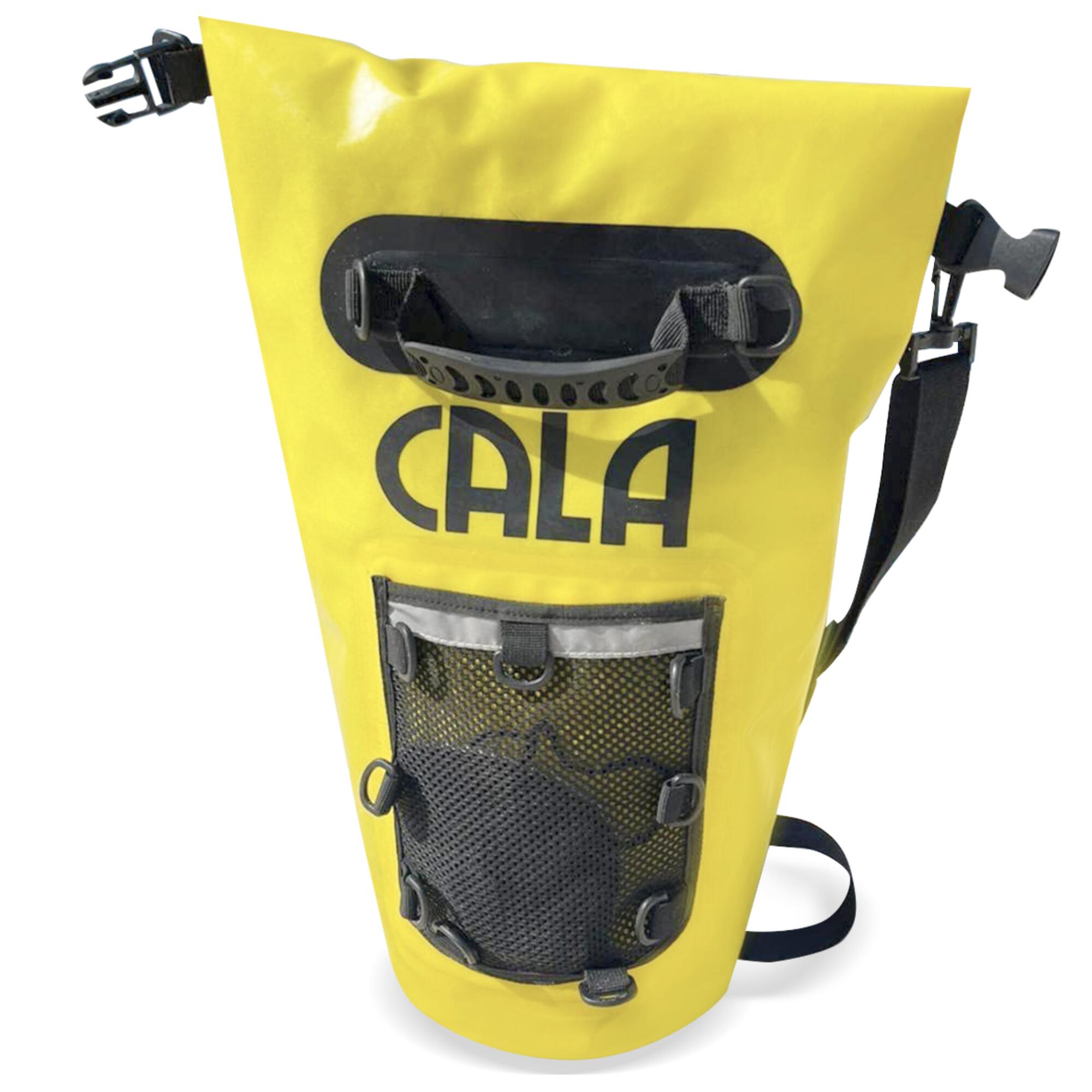 CALA picture