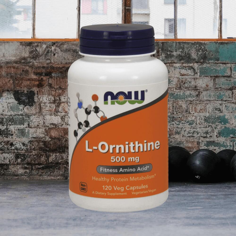 Now Foods L-Ornithine 500mg (120) Standard - Aminozuren - Aminozuur-Mix 5/5