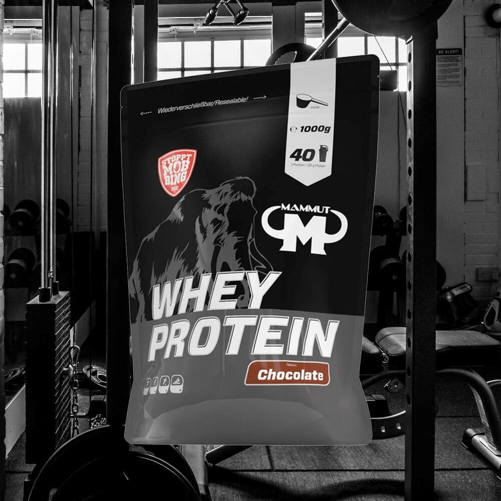 Whey Protein - Chocolate - 1000 g Zipp-Beutel 5/5