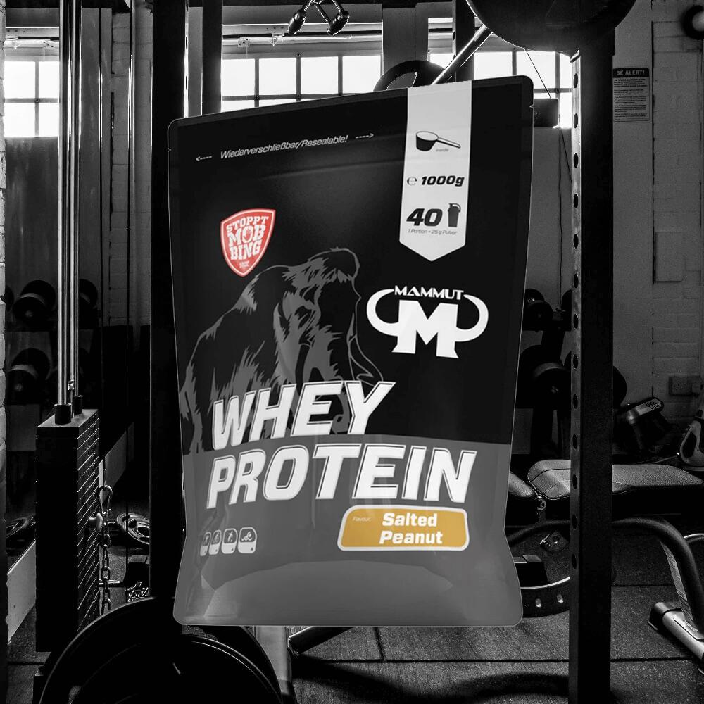 Whey Protein - Salted Peanut - 1000 g Zipp-Beutel 5/5