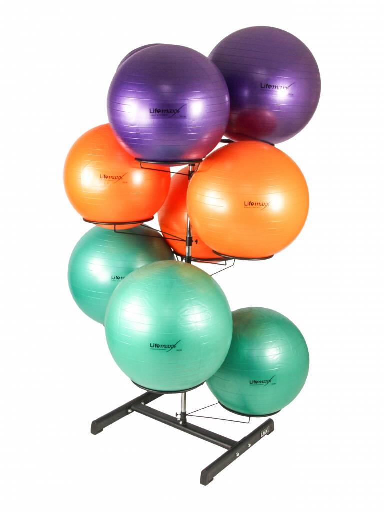 Opbergrek voor Gymballen & Fitnessballen 2/2