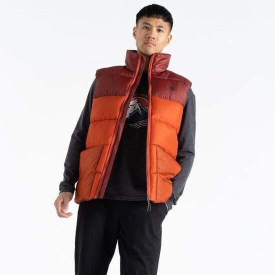 DARE 2B Dare2b Chauffe-corps City Gilet Hommes Rooibos Tea/Madder Brown