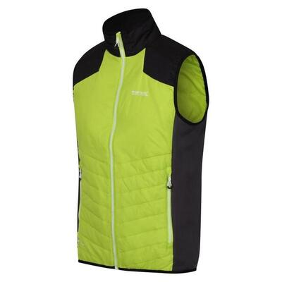 Gilet imbottito Regatta Halton VI