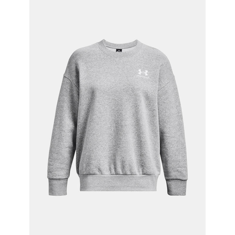 Hanorac Under Armour Icon Fleece