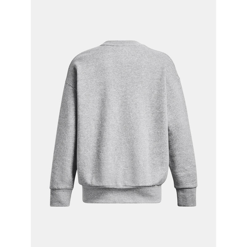 Hanorac Under Armour Icon Fleece