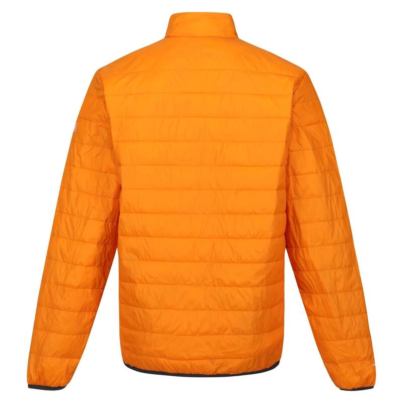 Puffed jacket Regatta Hillpack