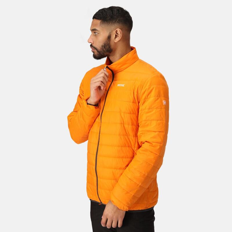 Puffed jacket Regatta Hillpack