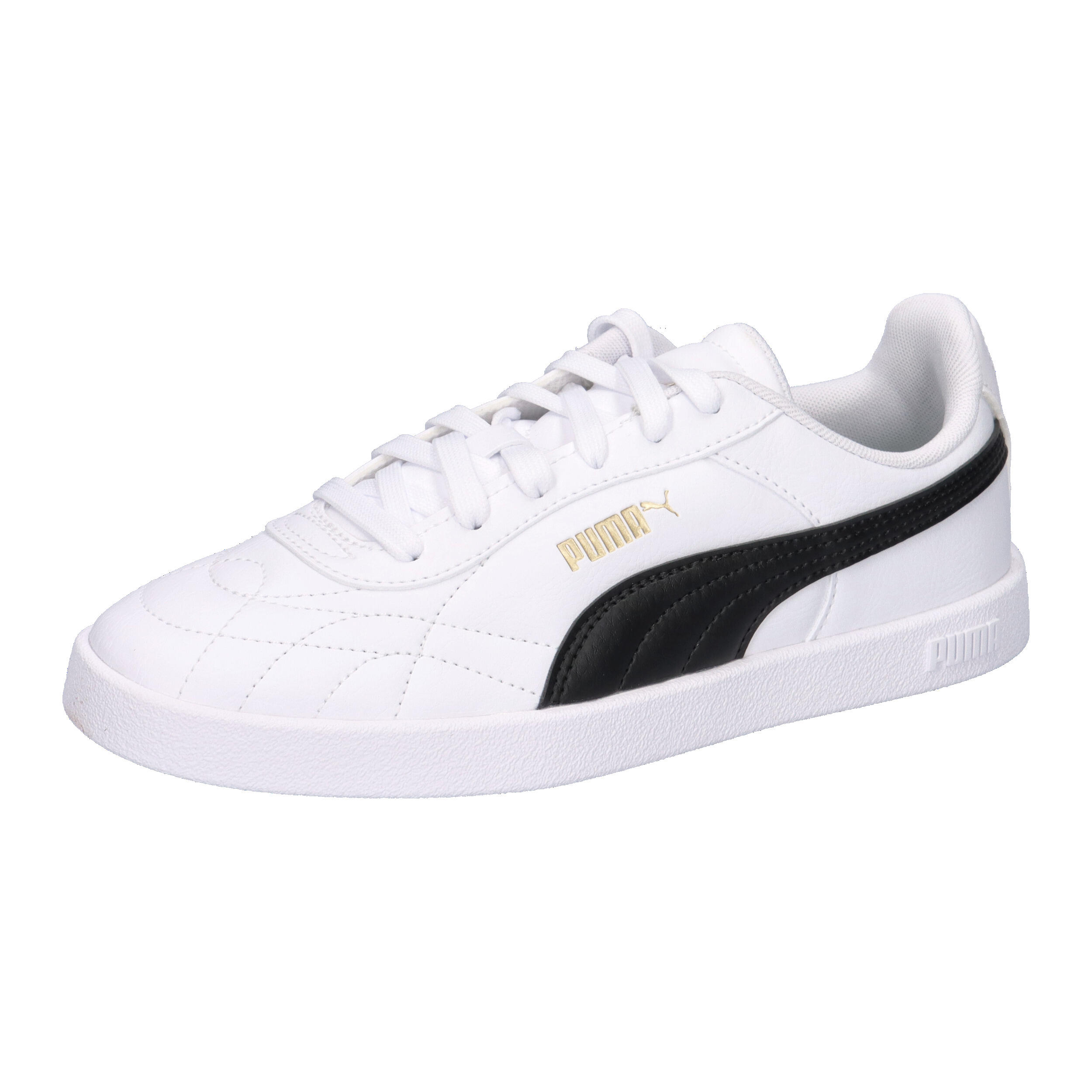 PUMA picture