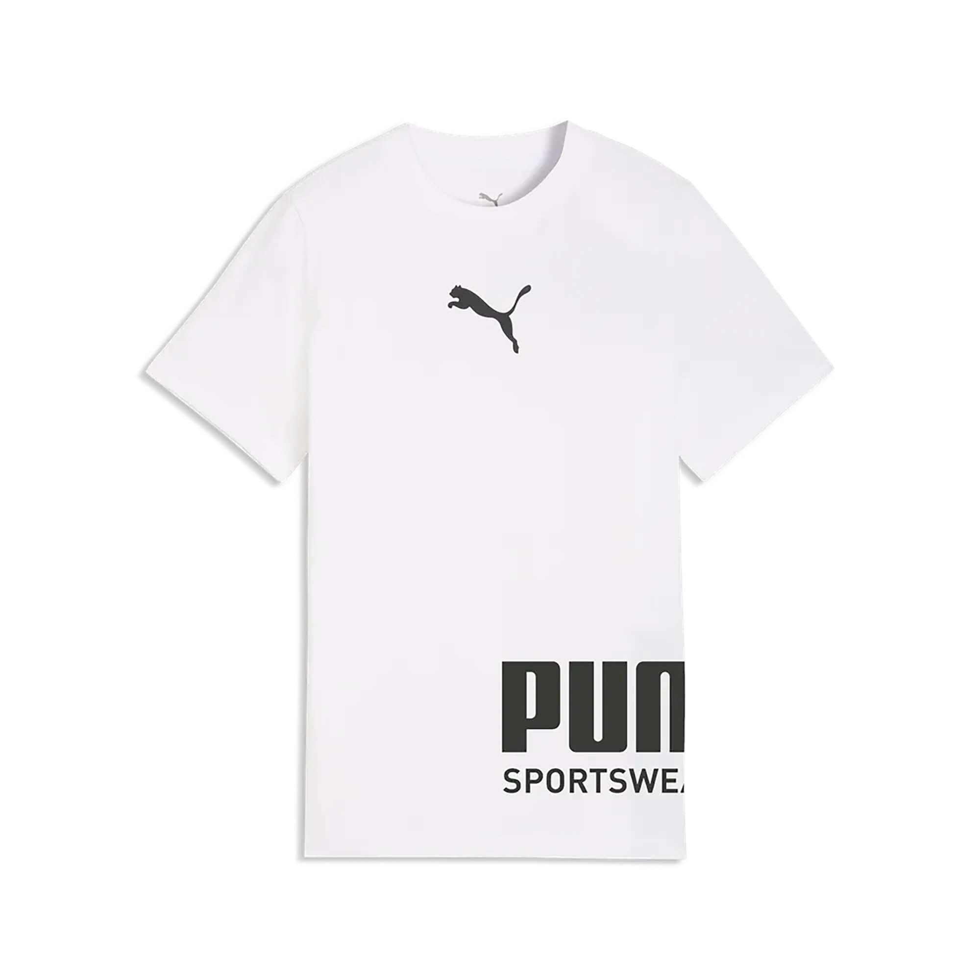 PUMA picture