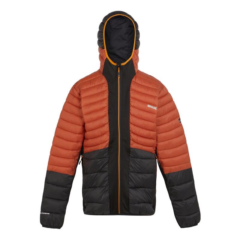 fc8cebbd-94bf-4bf7-bb8b-d89321cbd880_c14c1