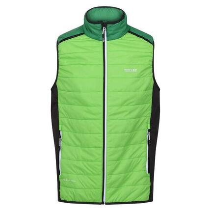 Doudoune sans manches Regatta Halton VII