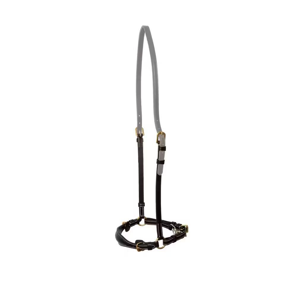 Pferdehalfter niedrig mit Kette Dy'on 1/2
